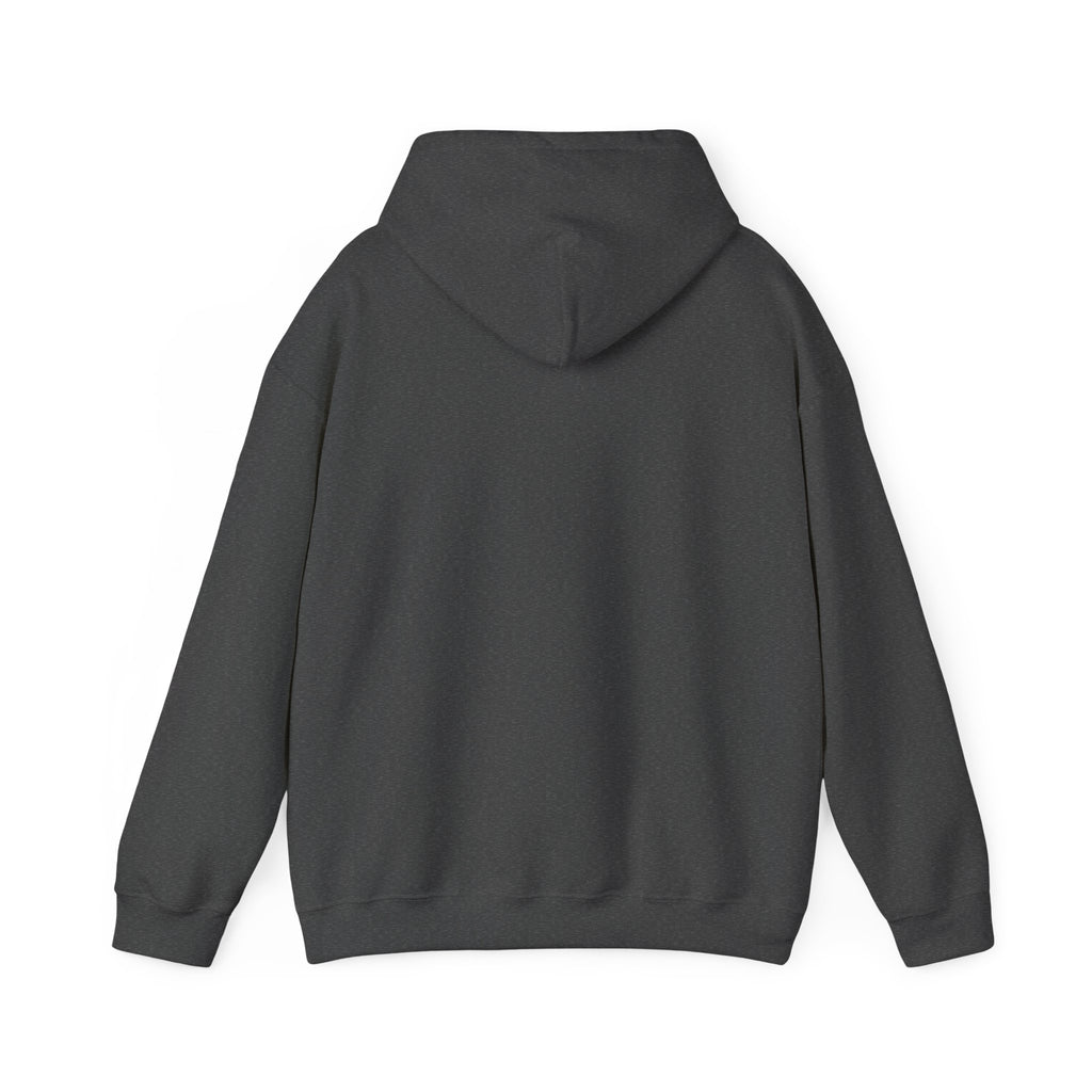 LKR Warrior Horses Unisex Hooded Sweatshirt